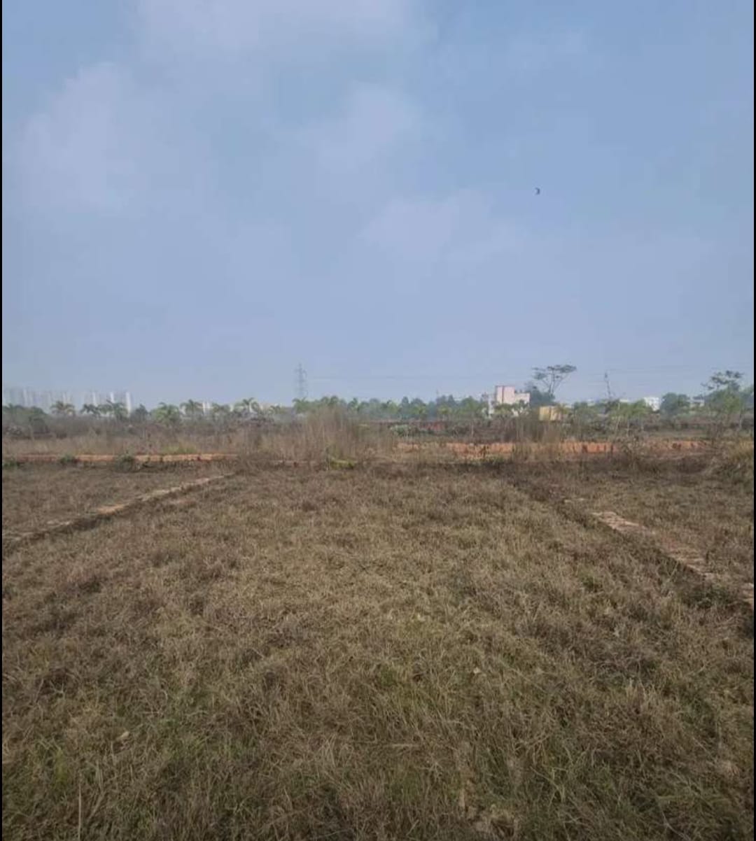 Jagannathpur Plotting Project