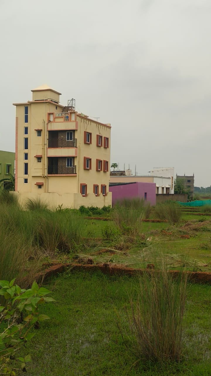 Demarcated Land Plot