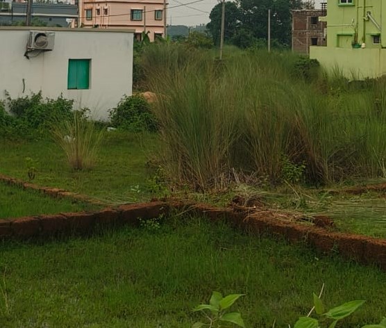 Kokibali Plotting Project