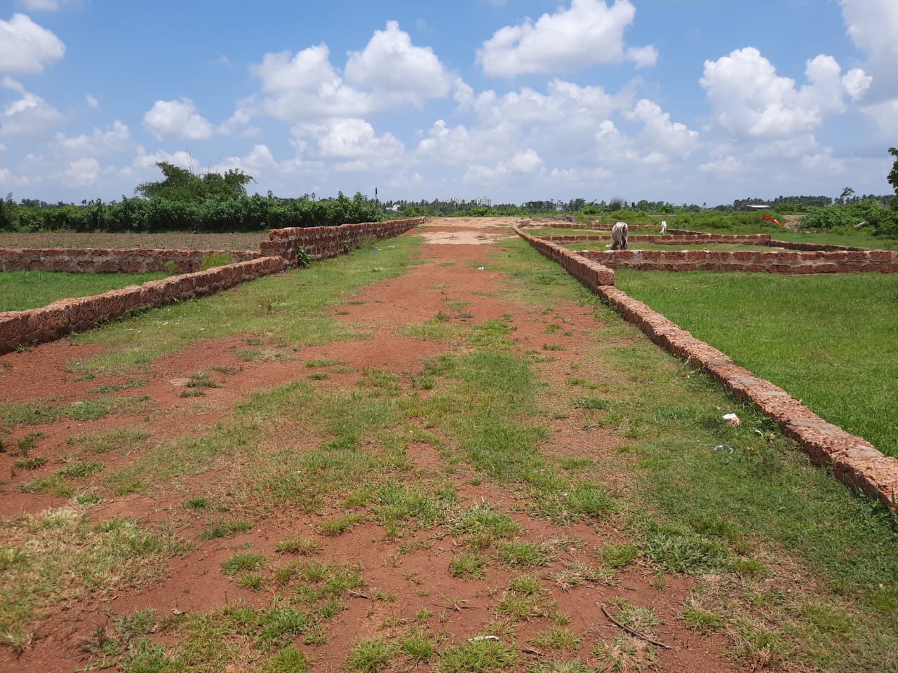 Demarcated Plot